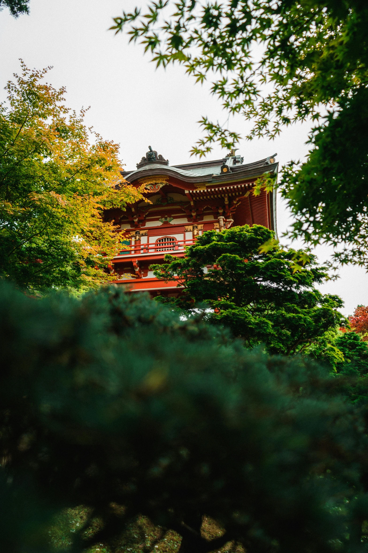 trees and an oriental structure surrounded by foliage