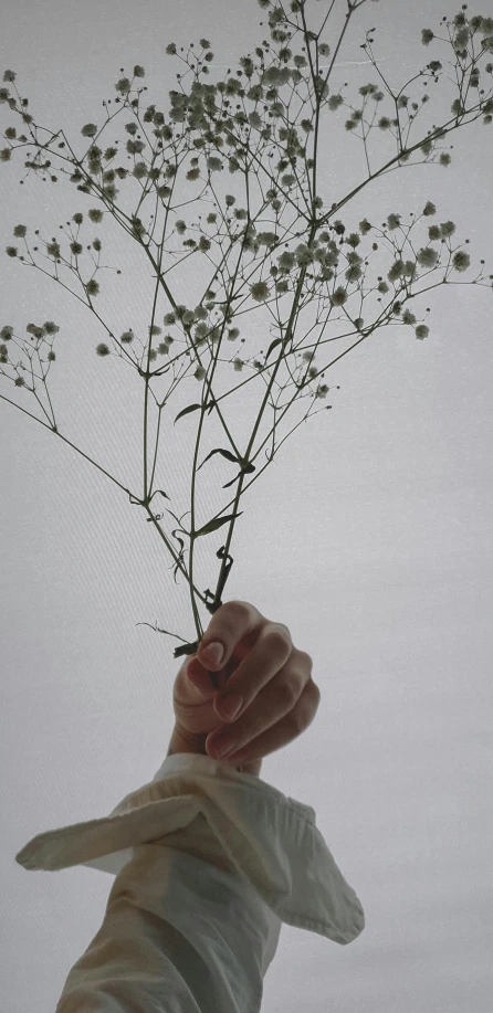 a woman is holding a flower stalk up