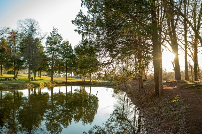 a pond surrounded by green grass next to trees