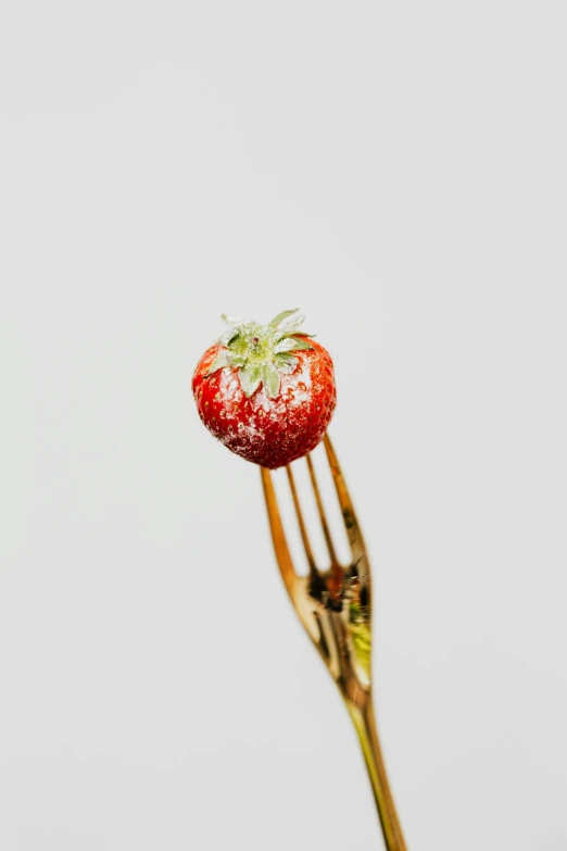 a fork holding a strawberry that looks like it has snow covered berries on the tip