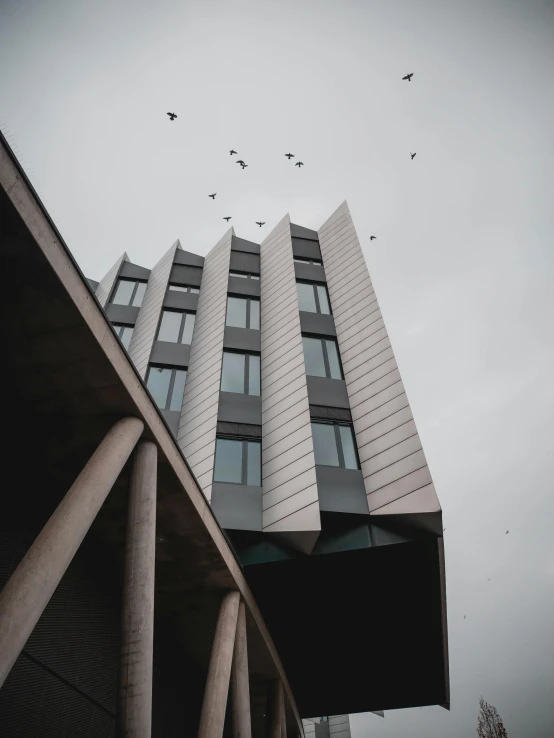 birds fly in front of a tall building