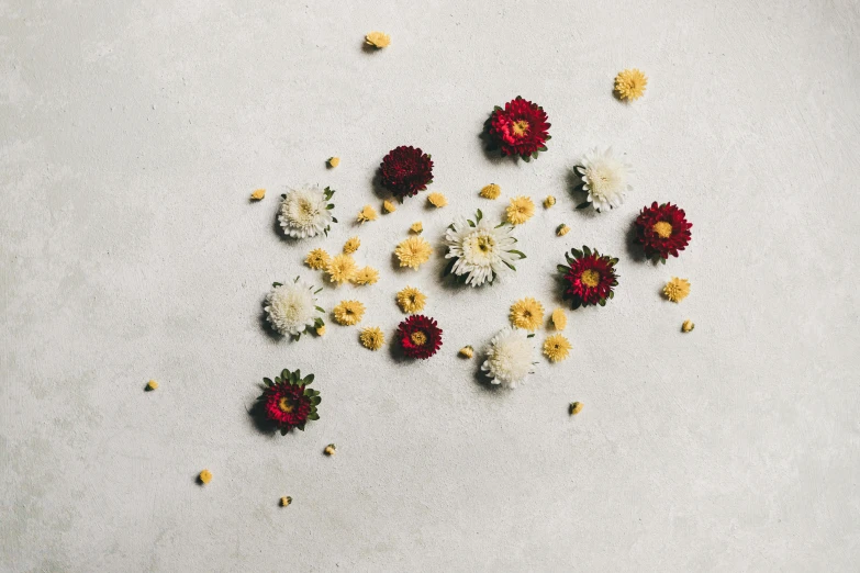 flowers arranged on a white surface with petals scattered