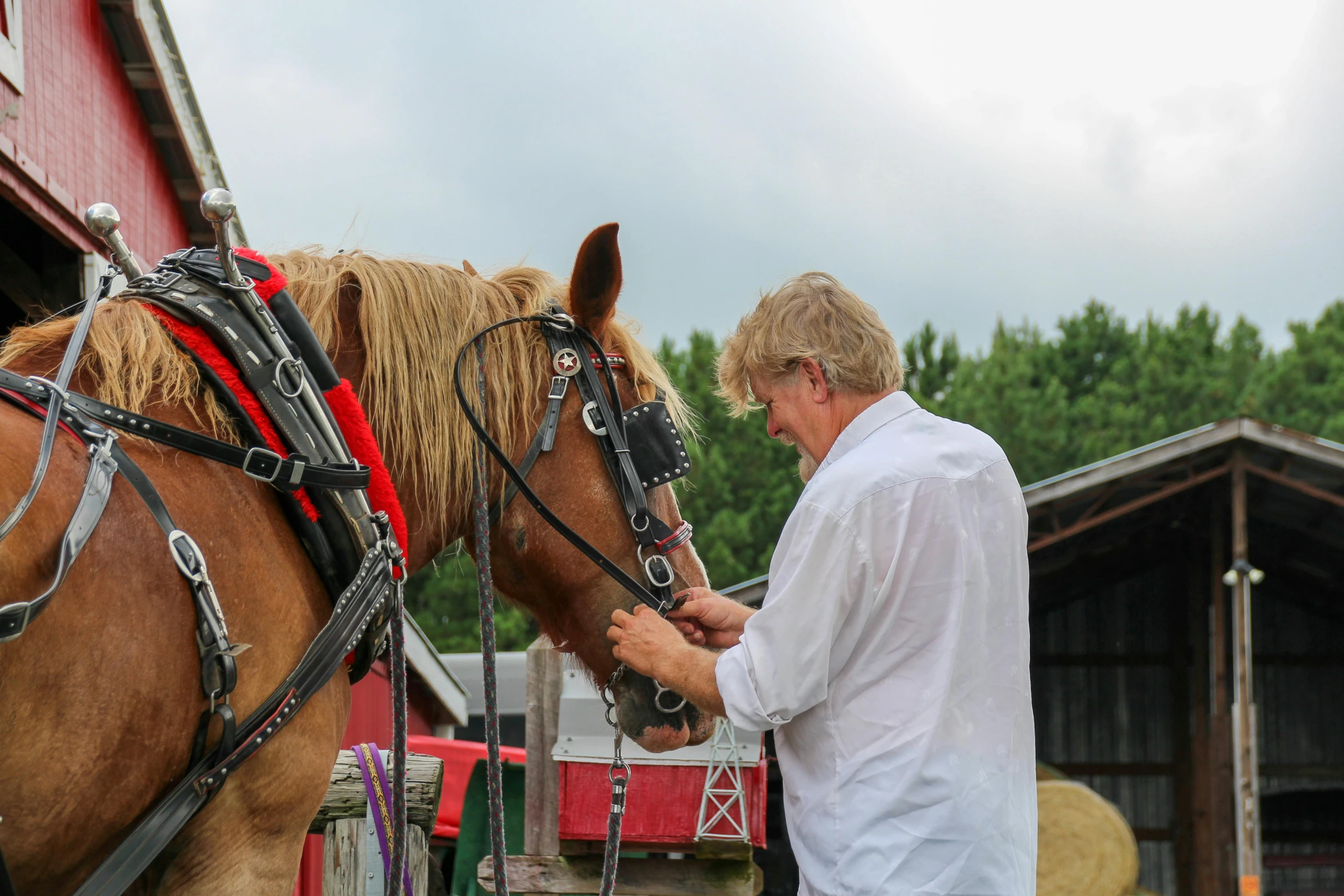 a man is leading a horse outside