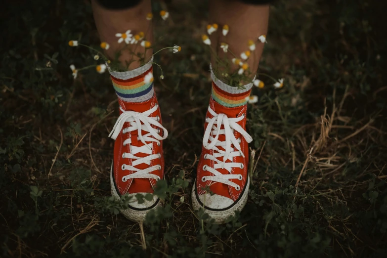 a pair of red sneakers are surrounded by daisies