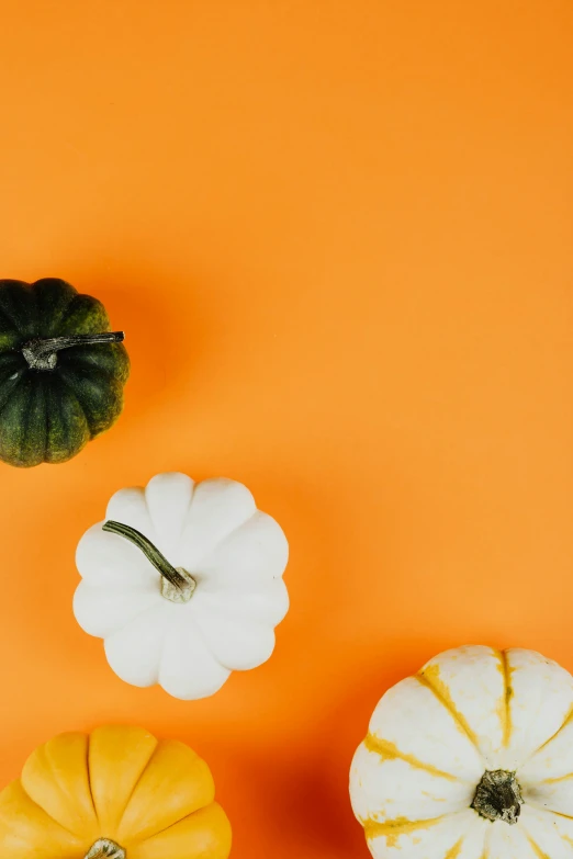 three pumpkins and two gourds on a orange surface