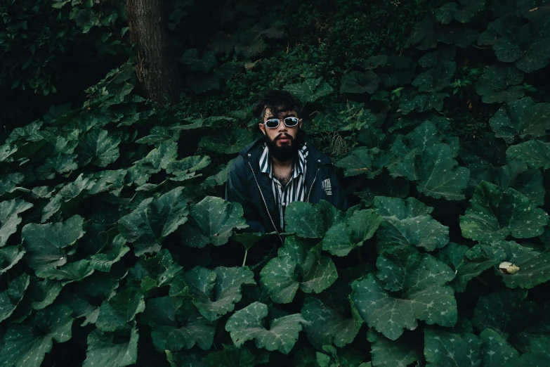 a man that is in the middle of plants