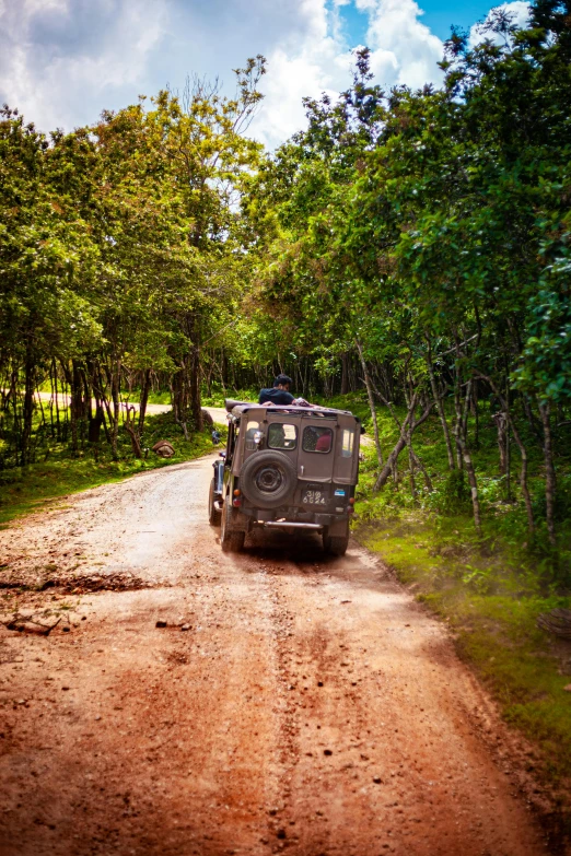 a jeep driving down a road surrounded by green trees