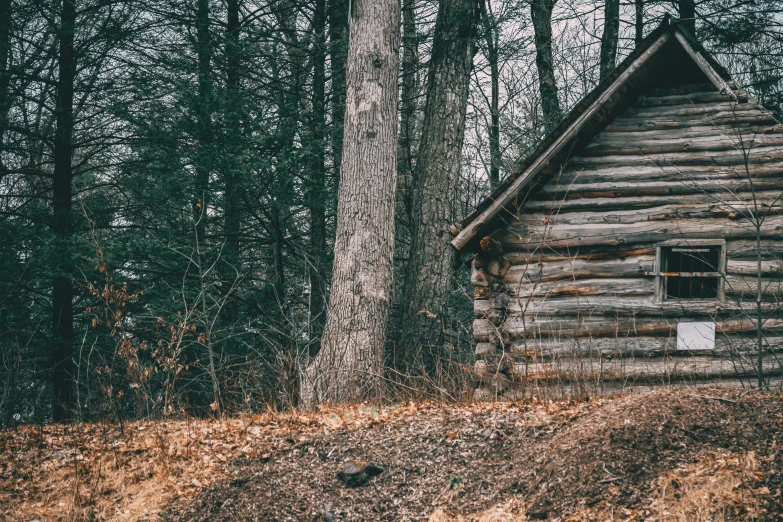 the wooden house is in the middle of the forest