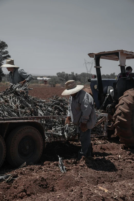 some people on some kind of farm machinery