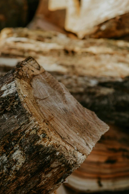 a piece of wood sitting on top of a pile of logs