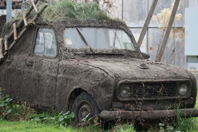 this old, dusty car has grass on top