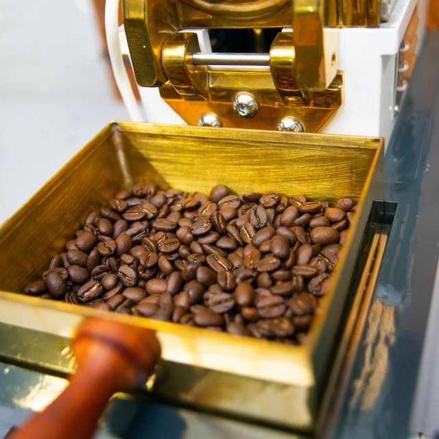 a brown object in a metallic container filled with coffee beans