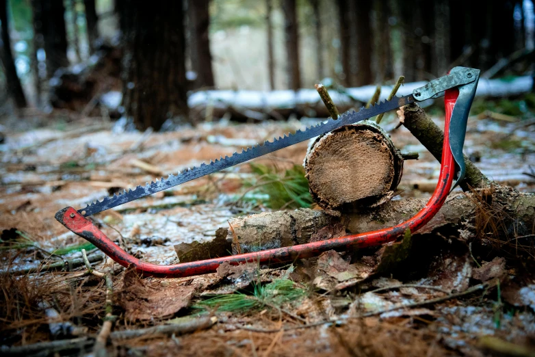 some red wire laying on the ground in a forest