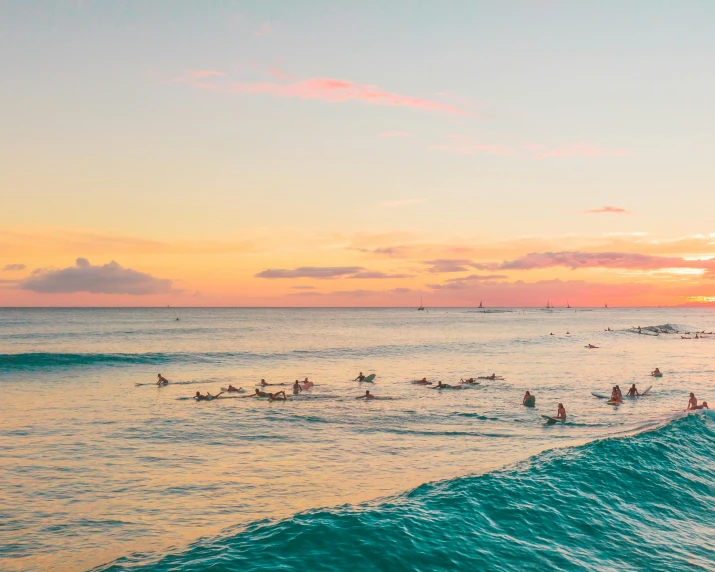 a group of people are bathing on their surfboards at sunset