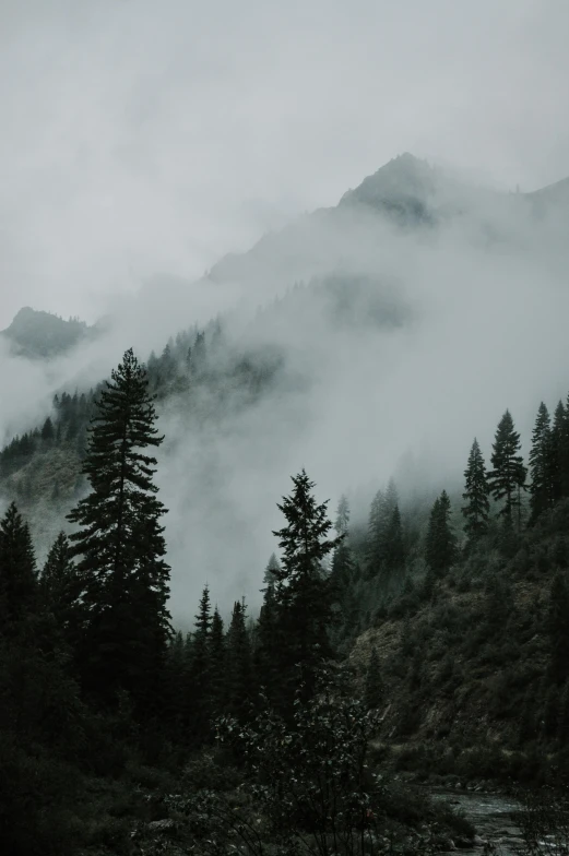 an image of misty landscape in the hills