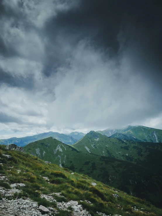 a group of people on top of a lush green mountain