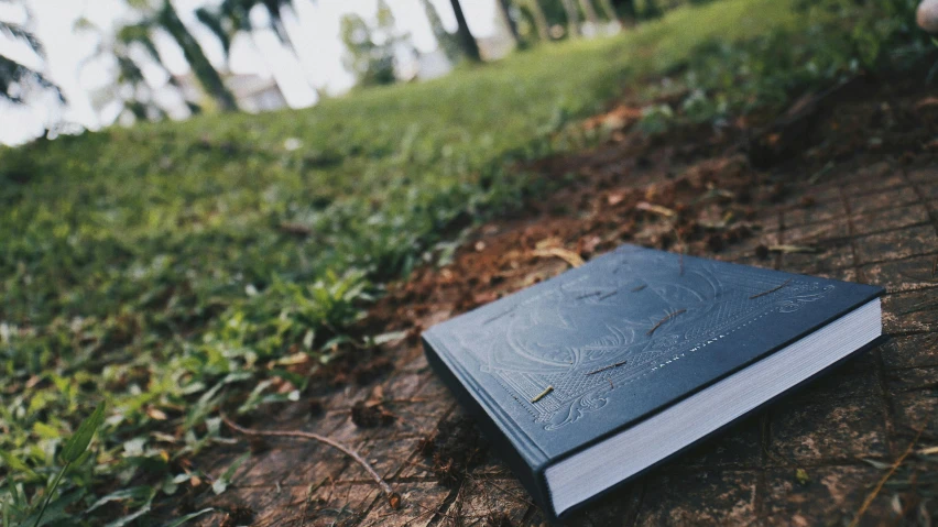 the book is sitting on the ground alone