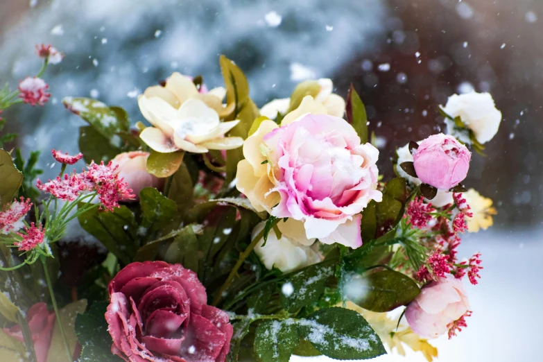 flowers in a white vase filled with water