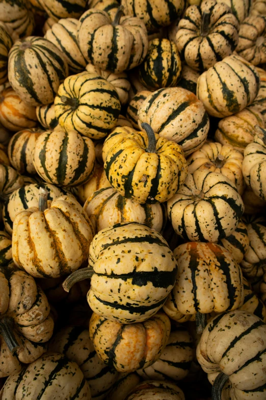 small pumpkins stacked on top of each other