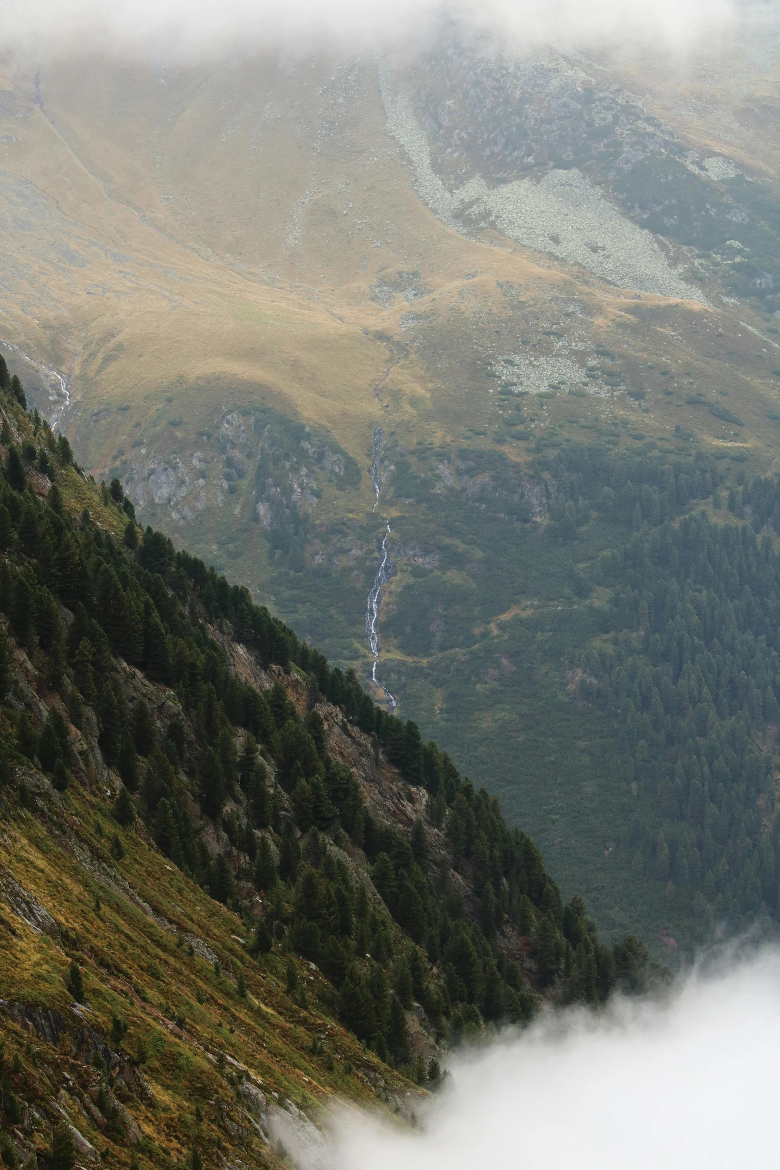 the view of a valley from the top of a steep hill