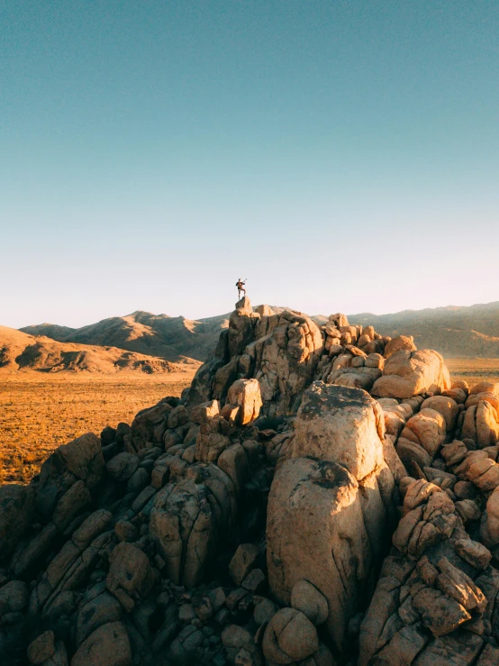 an animal standing on top of a rocky mountain