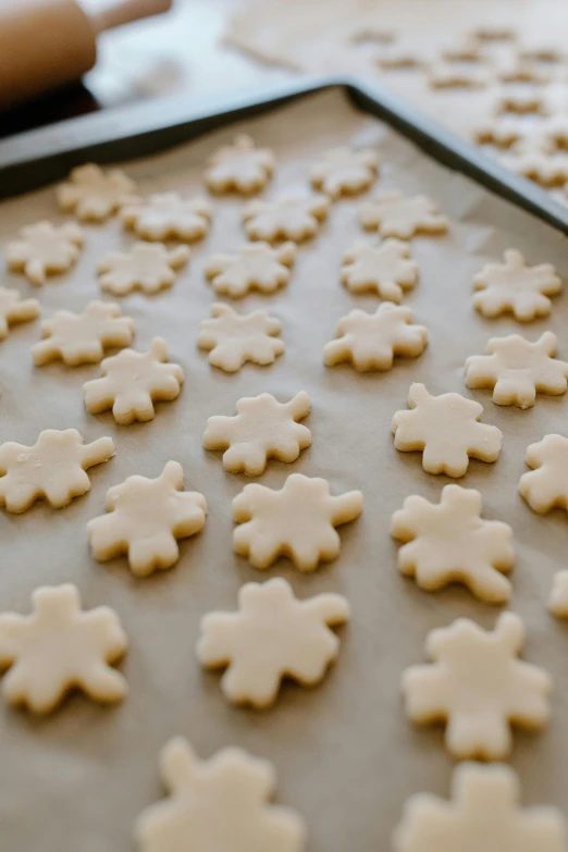 some sugar cookies are on a tray and cookie cutters are in the background