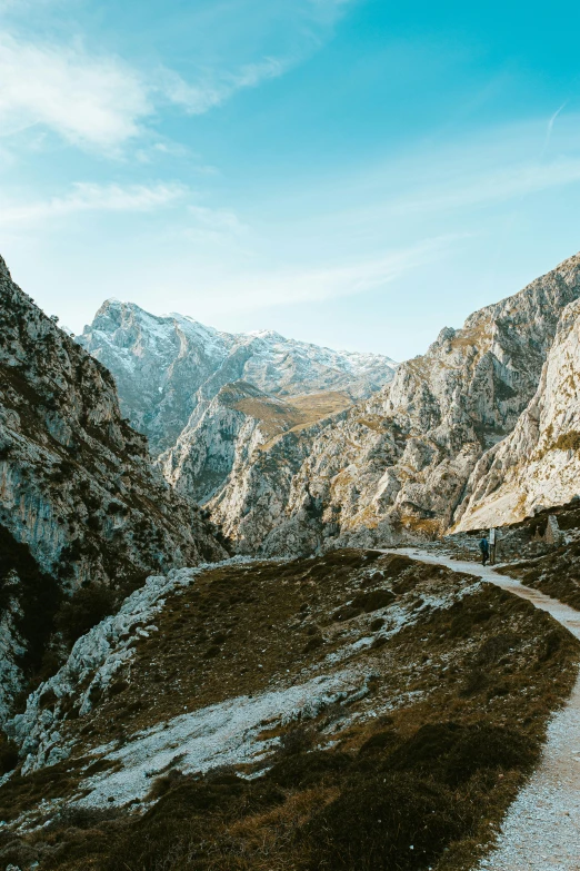 a mountain top with trees and a path leading into the mountains