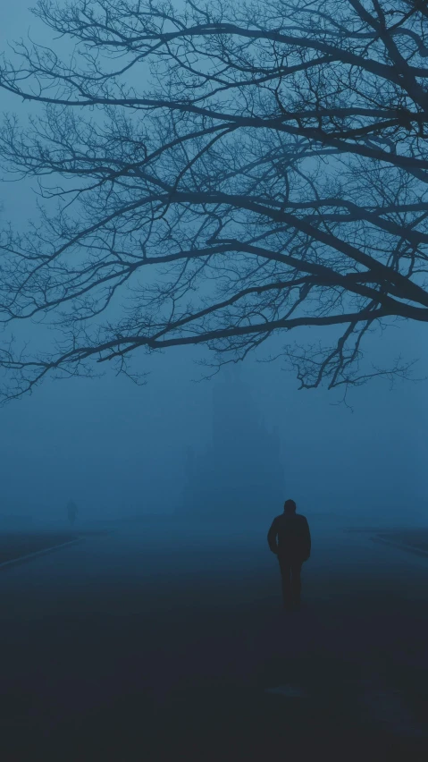 a man walks in the dark with a tree in the fog