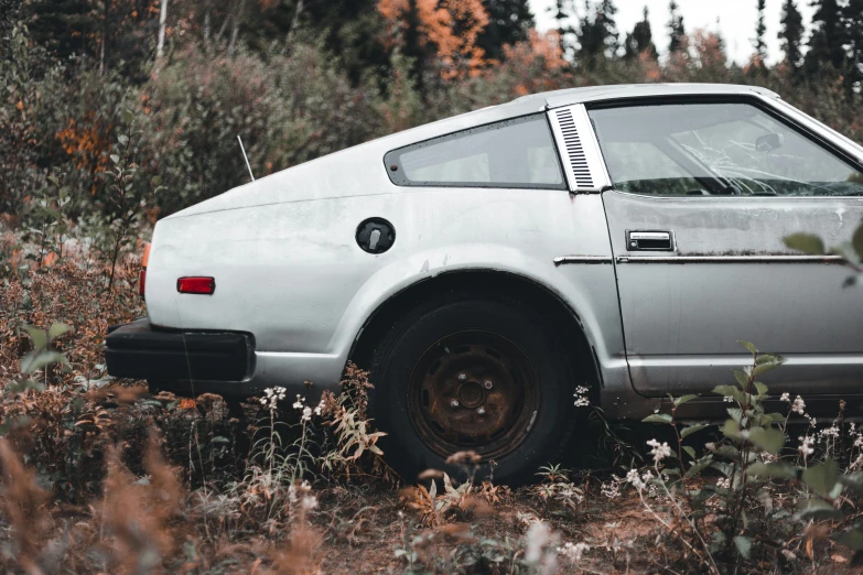 the car is sitting on the grass in the wild