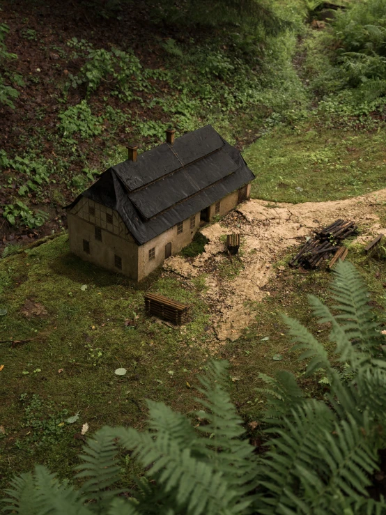 an abandoned house in the forest surrounded by ferns