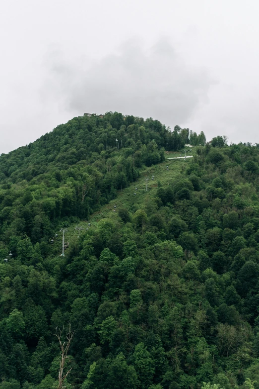 the hill of green foliage is below the clouds