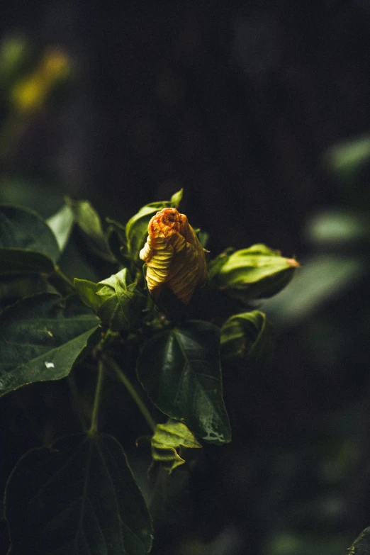 a little yellow flower is sitting on a green tree