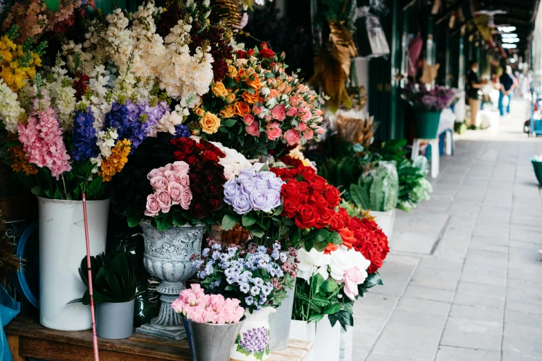a bunch of different color flowers for sale on a street side
