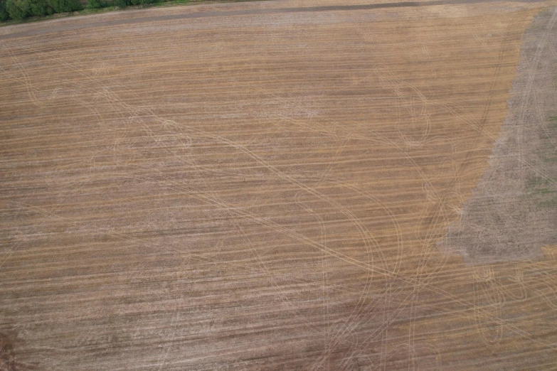 an aerial view of crops growing in the field