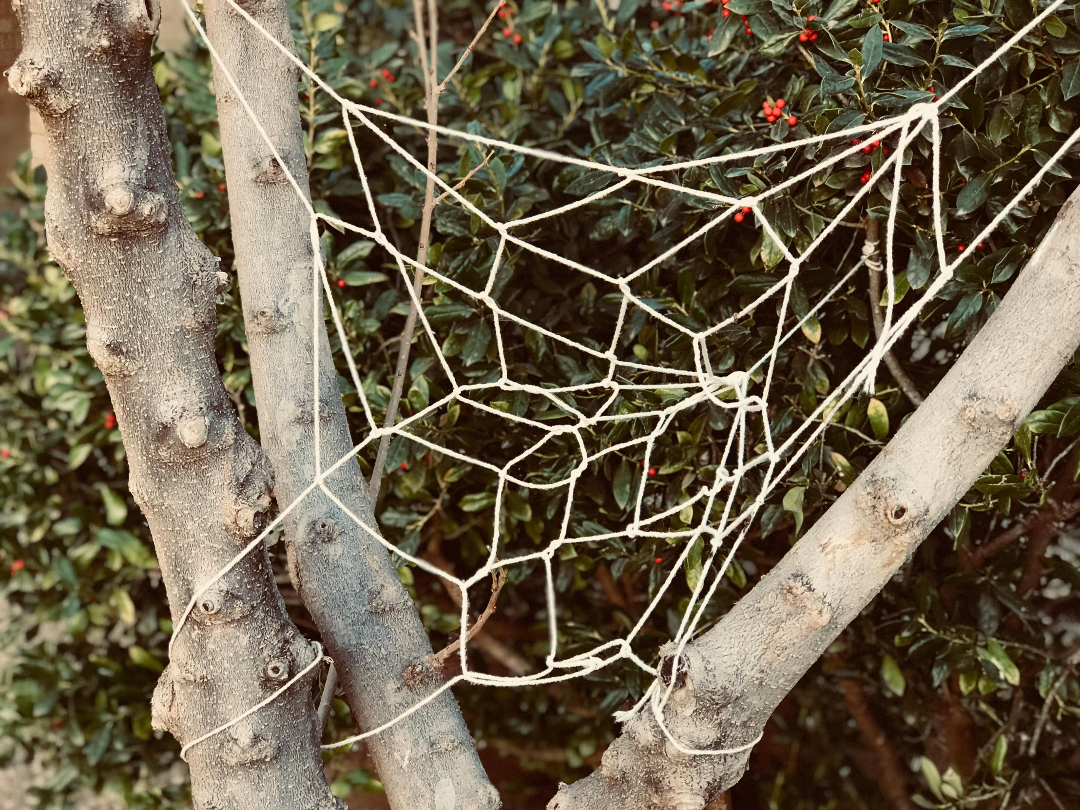 a man is standing on the top of a rope tied to a tree