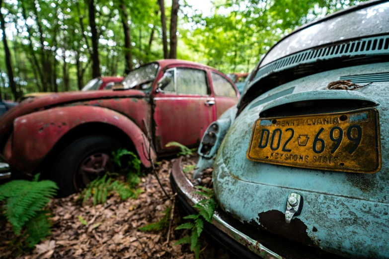 an old car in the woods next to a rusty car