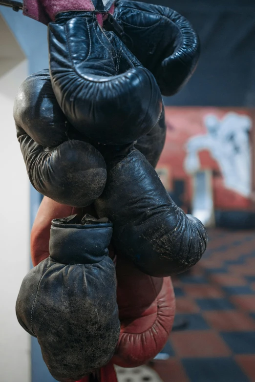 many different boxing gloves hanging from ropes