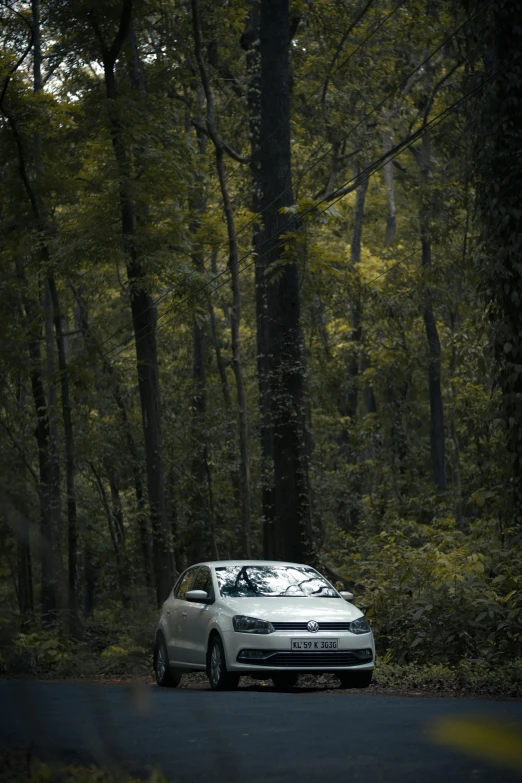 the grey car is on the road by the trees