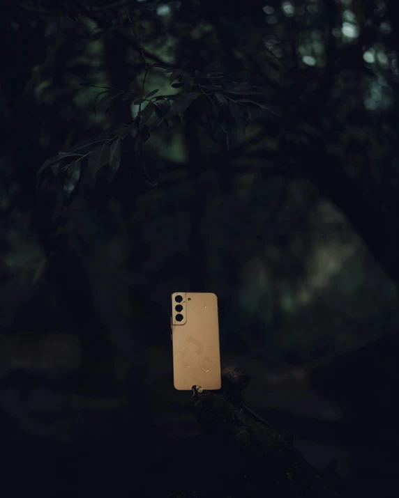 an old cellphone sitting in a tree