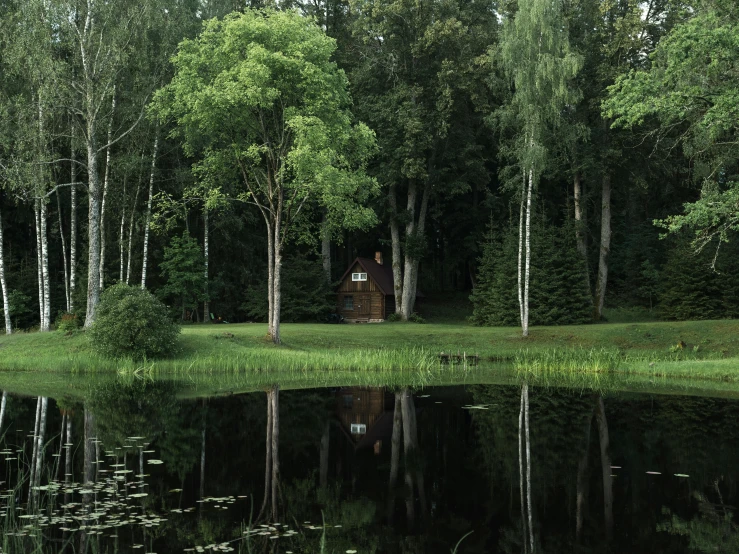 this is a reflection of a cabin in the water