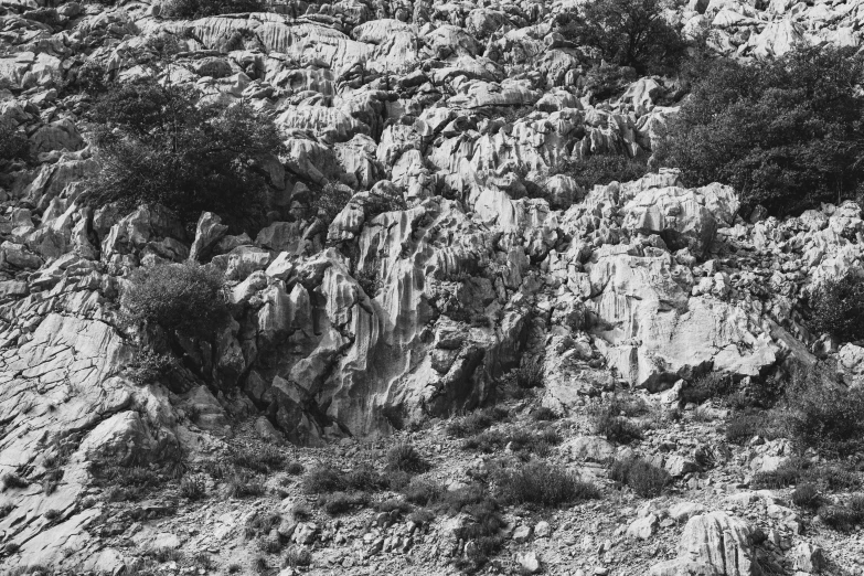 the back side of an overcast mountain with tree tops