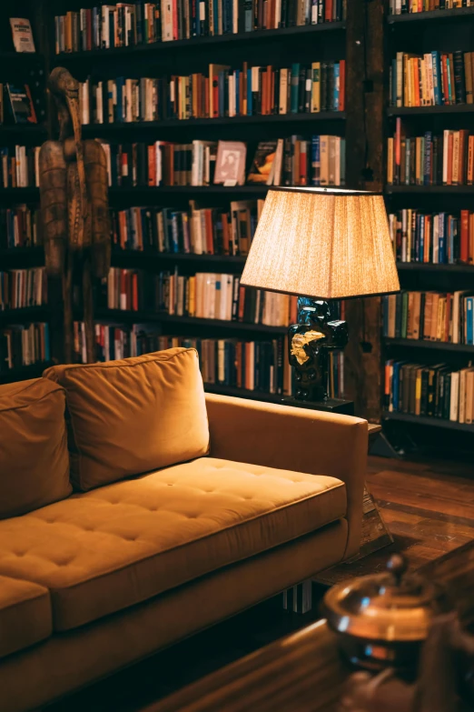 an empty couch in front of a liry filled with books