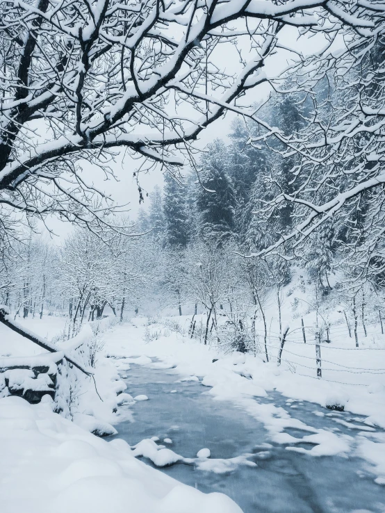 a stream running through a snow covered forest