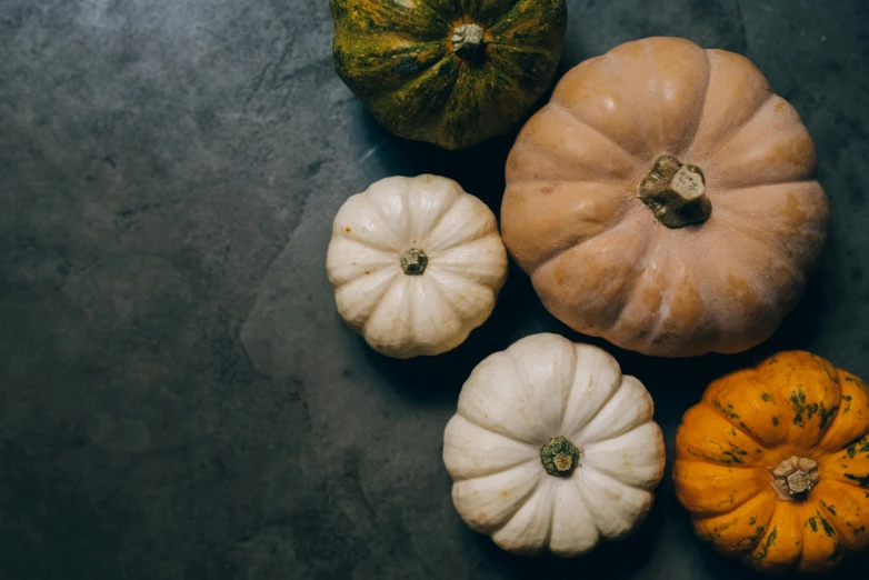 different types of pumpkins lined up in a circle