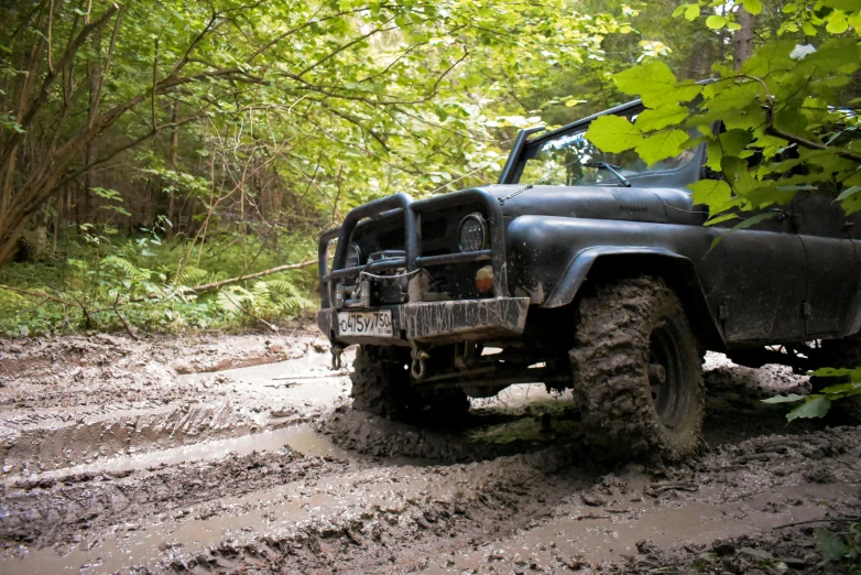 the muddy truck is parked near a tree