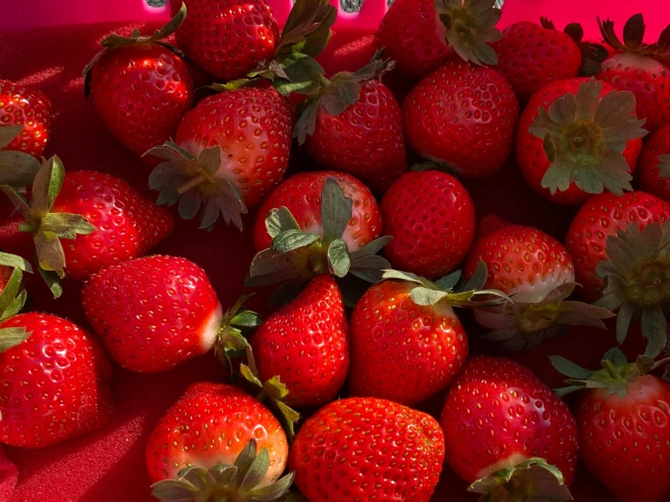 many strawberries on a pink background surrounded by other strawberries