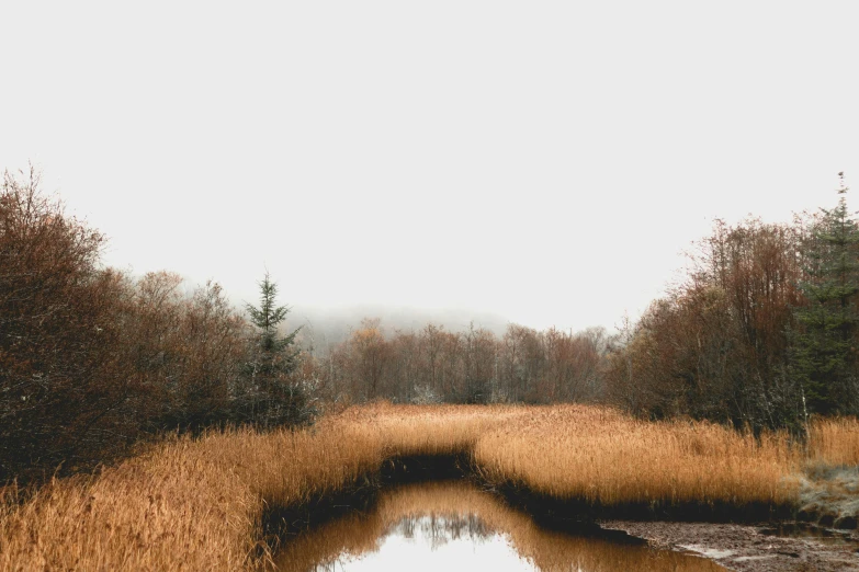 a narrow bend in a dry grass field