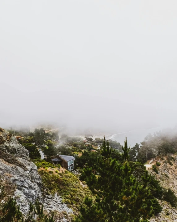 there are pine trees growing on the side of the hill