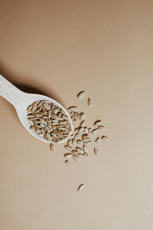 a wooden spoon filled with seeds on top of a table