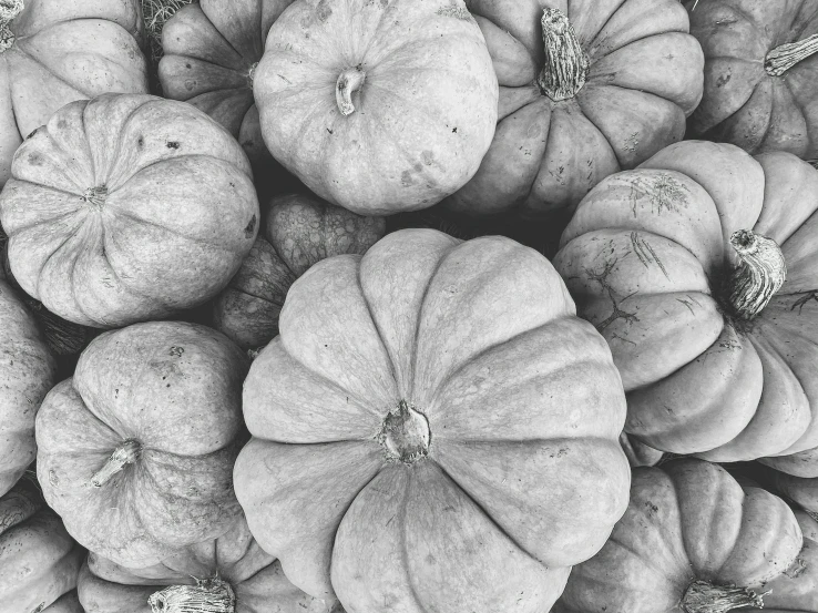 a close up of a bunch of pumpkins